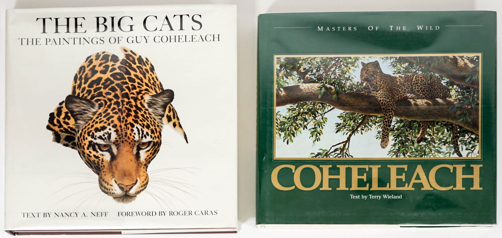 Guy Coheleach (2) Animal Art Books SIGNED (1 of 6)