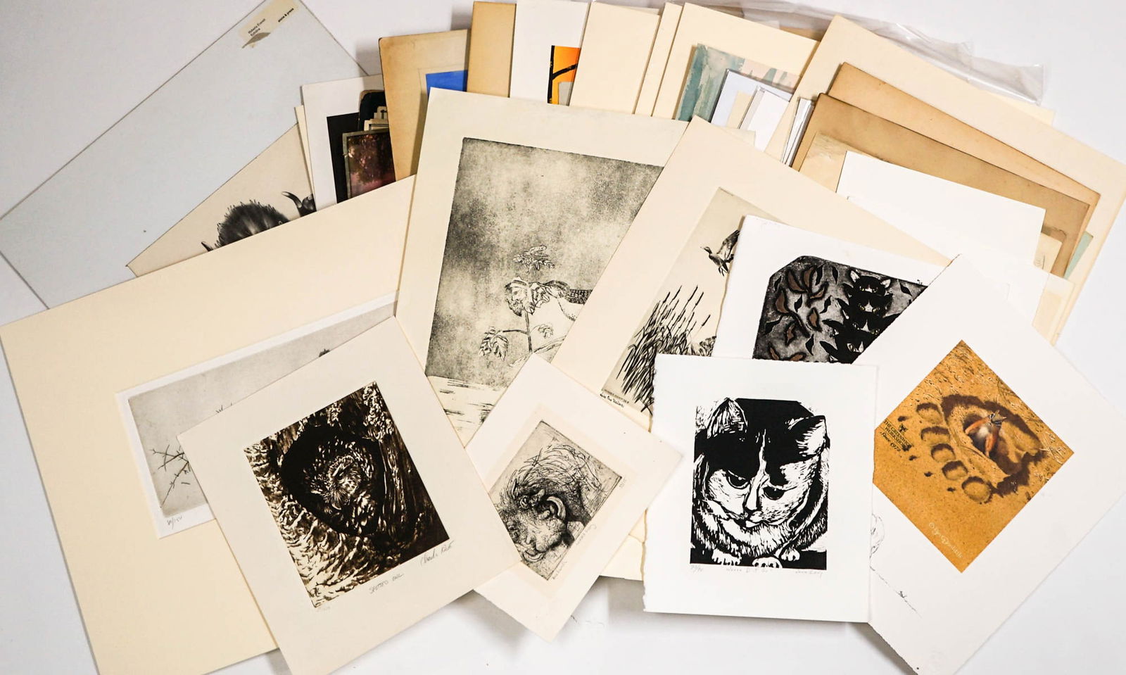 Works on Paper [Birds, Animals] (1 of 4)