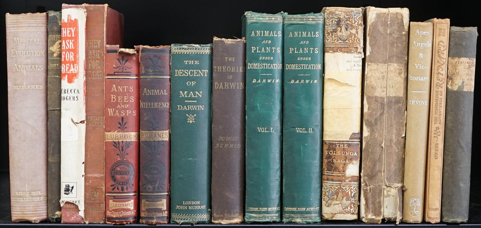 Antique / Vintage (15) Books [Charles Darwin]: Fifteen (15) books. Mixed condition. 1) Four (4) books of and by Charles Darwin include The Descent of Man 1882, The Variation of Animals and Plants 2 volume set 1868 by Charles Darwin, John Murray, L