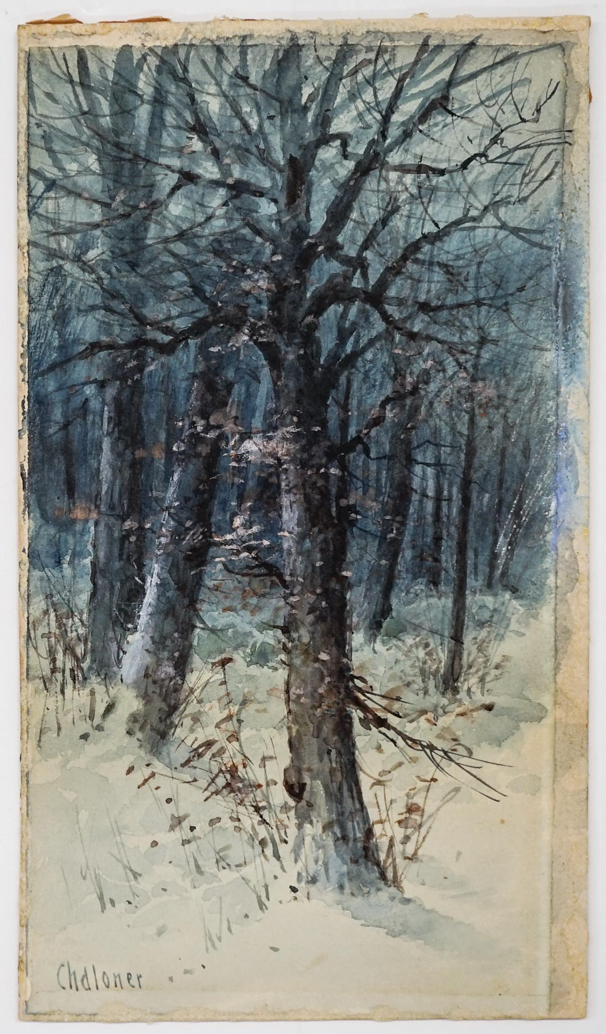 Walter Chaloner (Massachusetts, 1852-1922) (1 of 3)