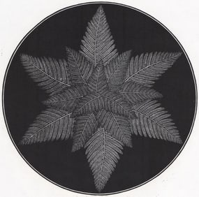 Jacques Hnizdovsky Hardy Fern 1981 Woodcut