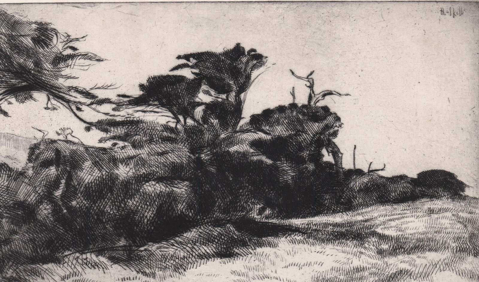 Ernest Haskell Study of Cypress Trees Drypoint (1 of 5)