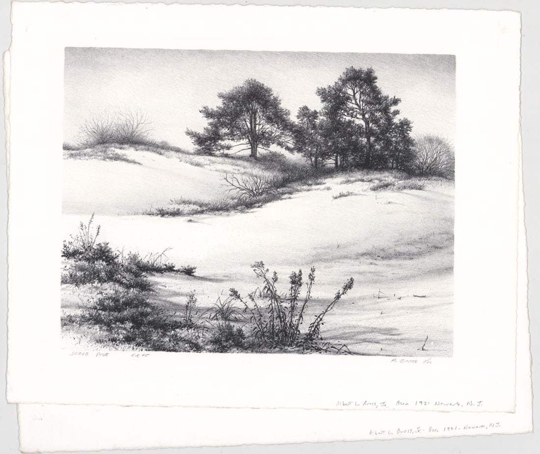 Albert Bross, Jr. (New Jersey, 1921-2013) (1 of 11)