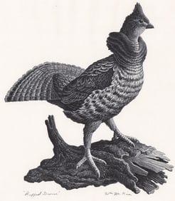 William McKim Signed Lithograph [Ruffed Grouse]