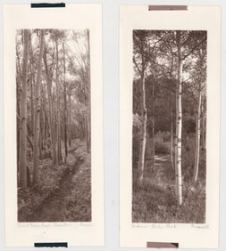 Signed Wiswall (Denver, Colorado) Sepia Photos