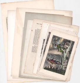 (8) Antique Prints. Copper Engravings & Lithos