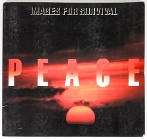 Images for Survival by Ikko Tanaka 1985