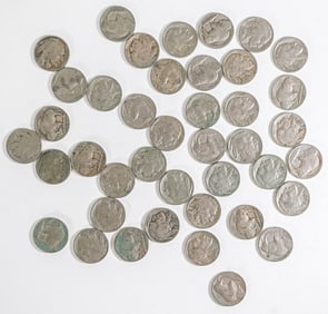 (41) U.S. Buffalo Nickels
