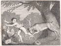 Gay's Fables, The Tame Stag Engraving by W. Blake