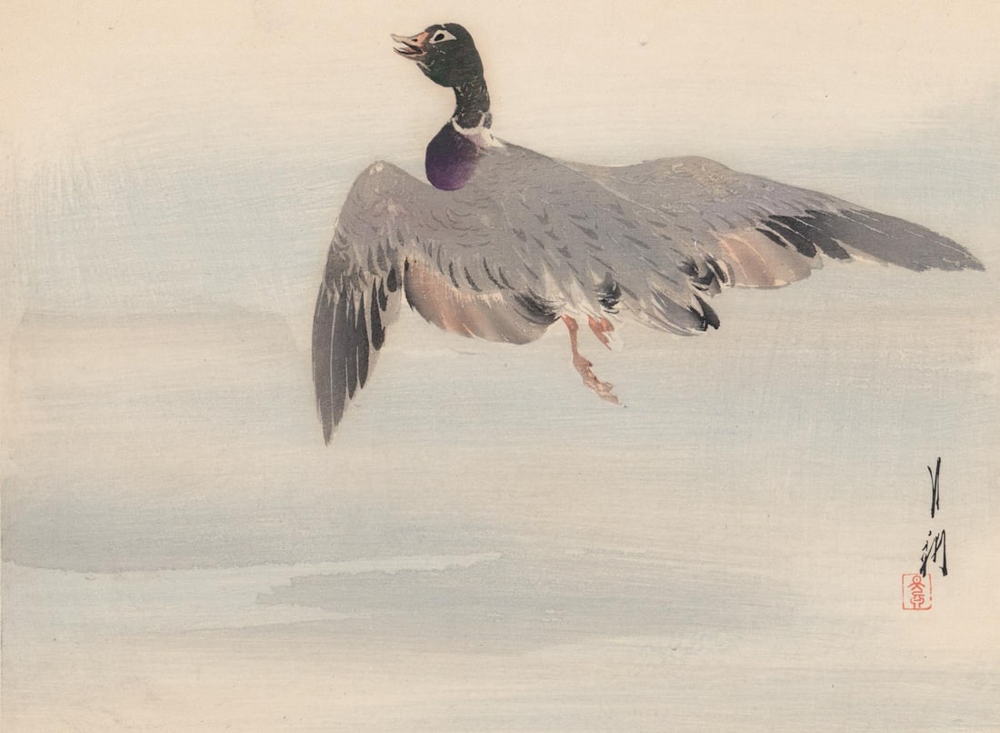 Ogata Gekko Woodblock - Mallard Duck (1 of 4)