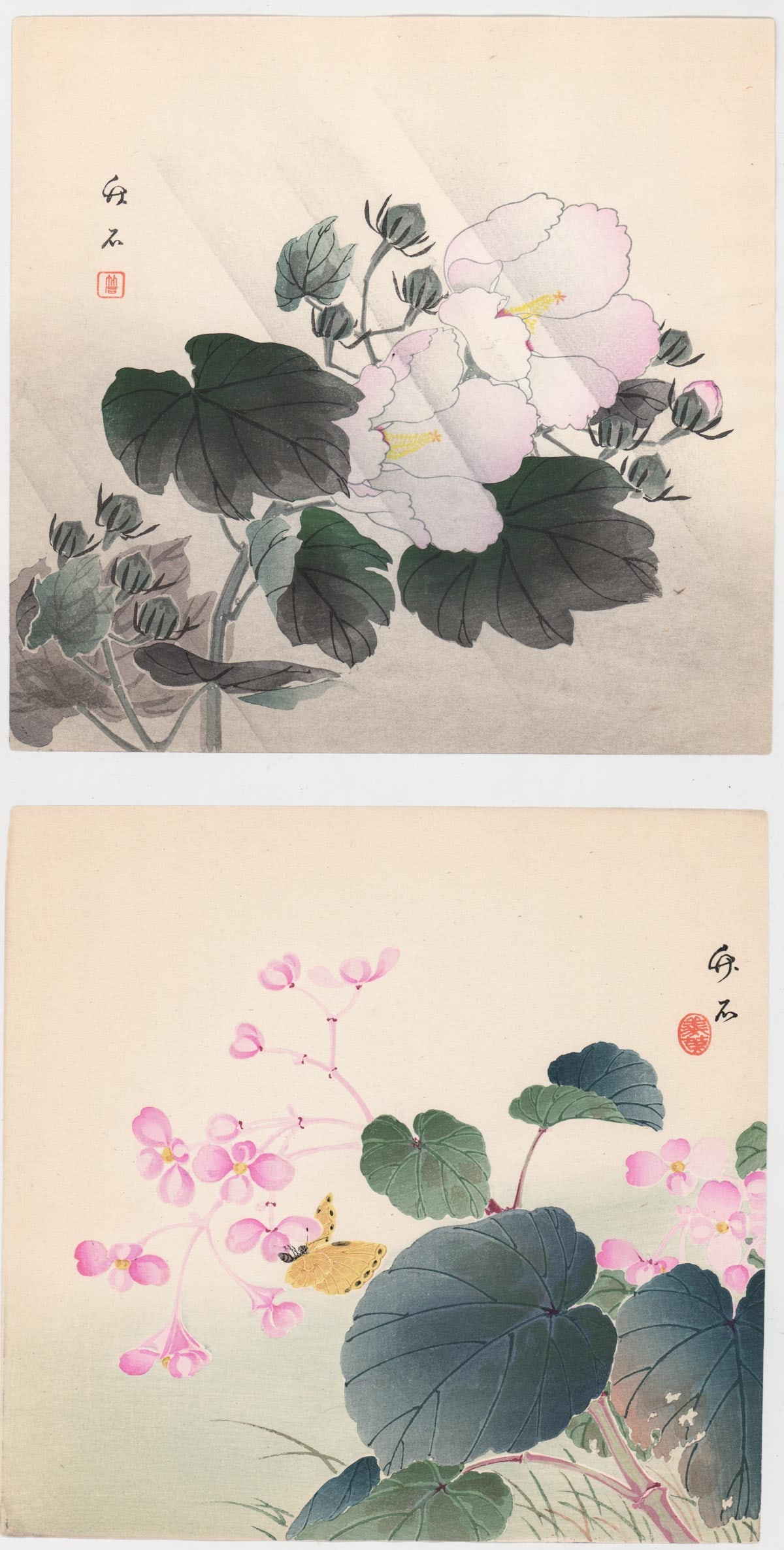 After Nagamachi Chiuseki Japanese (2) Woodblock: Two (2) After Nagamachi Chiuseki (1757-1806) and other artist woodblock prints. 'Begonia and Butterfly' and 'Cotton Roses in Rain' Sheets measure 9.5 in. x 9.875 in. Unframed, loose and not glued or m