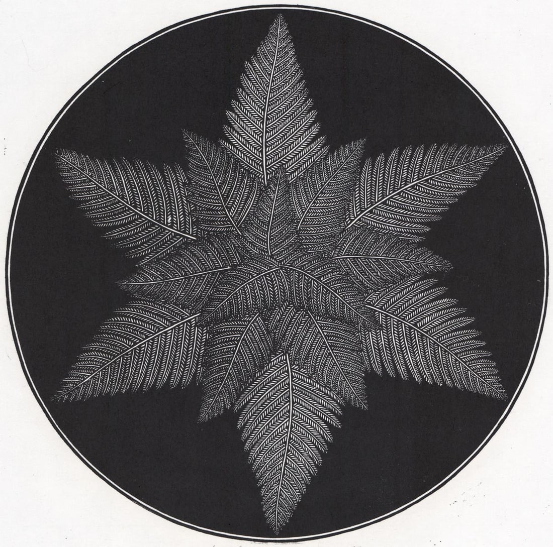 Jacques Hnizdovsky Hardy Fern 1981 Woodcut: Jacques Hnizdovsky Hardy Fern 1981 Woodcut. Measures 13 inches diameter image size and 18.5 x 16.5 inches sheet size. Good condition with water damage and puckering of paper lower left area. Unframed,