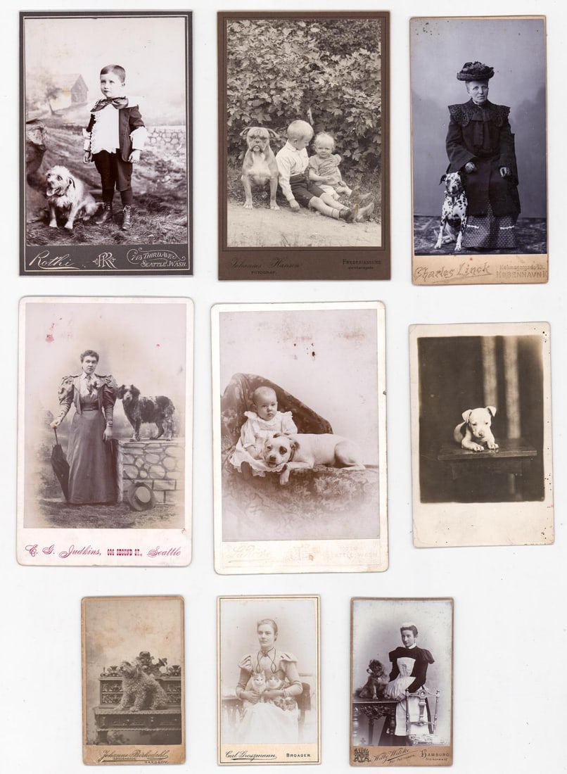 Antique (9) Photographic Images [Dogs, Cats]: Nine (9) photographic images of dogs and cats. Most with owners. Lot measures 6.625 in. H x 4.25 in. W x .5 in. D. The absence of a condition report does not imply that the lot is in perfect condition