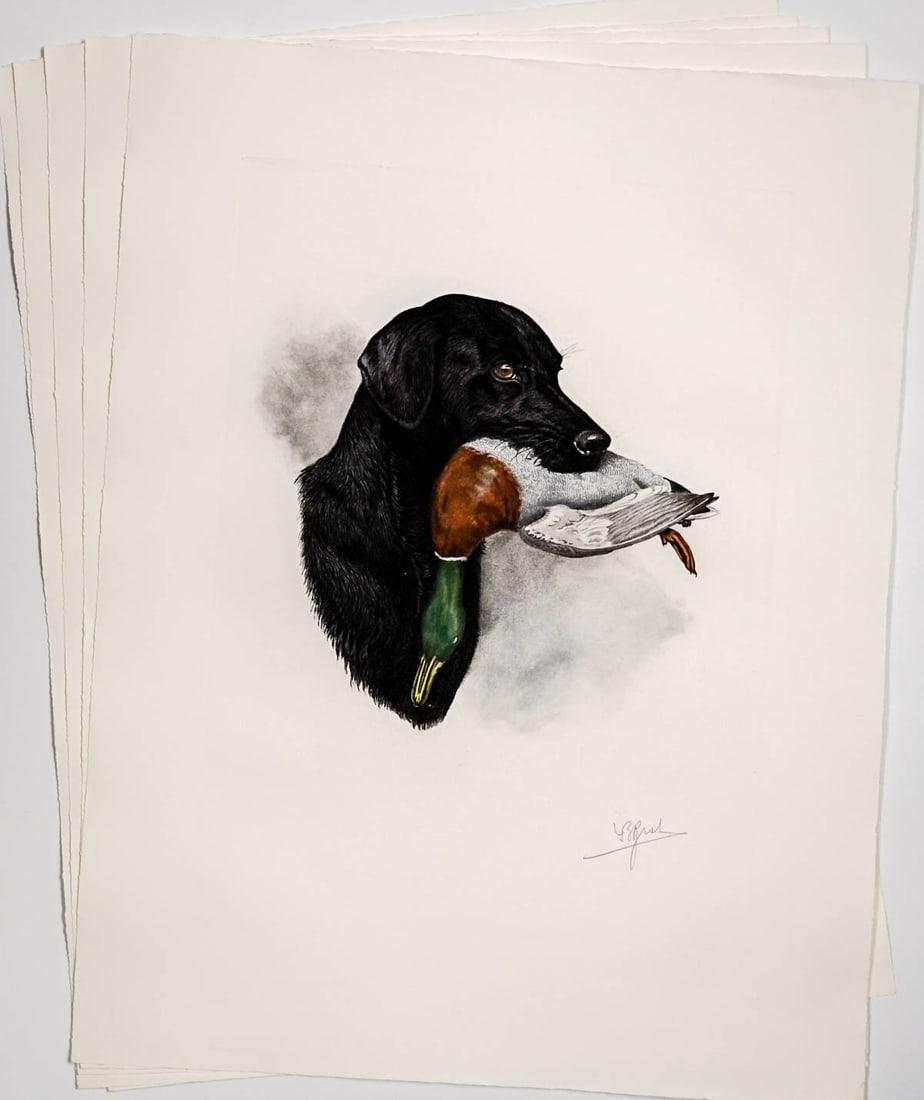 Boris Riab Lithographs (5) Signed [Bird Dog] (1 of 6)