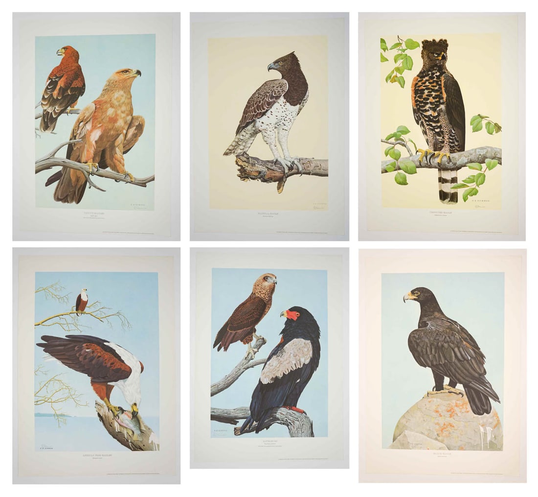 Kenneth Newman Print Set [Eagles] (1 of 13)