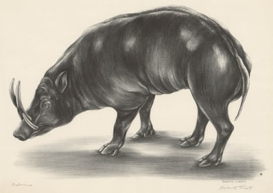 Roberta Everett Lithograph [Animal, Wild Hog]