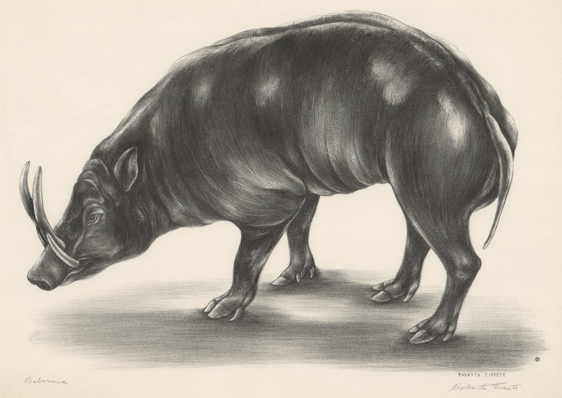 Roberta Everett Lithograph [Animal, Wild Hog] (1 of 5)