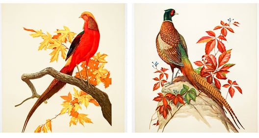 Roger Peterson (1908 - 1996) Large Bird Prints