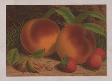 Unsigned Chromolithograph [Still Life]