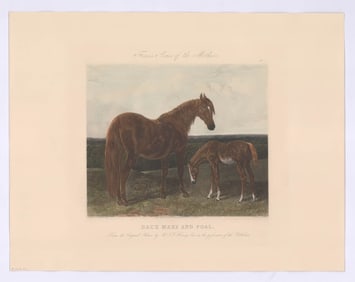 Fores's Series of the Mothers (4)