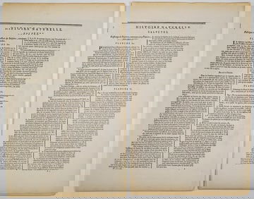 Histoire Naturelle (9) Salpetre Plates [Diderot]