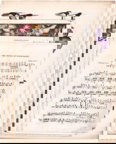 Antique (8) Color Prints -Animals, Birds, Sealife