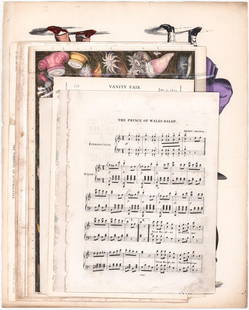 Antique (8) Color Prints -Animals, Birds, Sealife: Eight (8) antique color prints. Measure 11.25 in. to 19.5 in. x 9 in. to 16.5 in. Unframed, loose, not mounted or glued down. Print lot measures 19.5 in. H x 15.75 in. W x .125 in. D for shipping