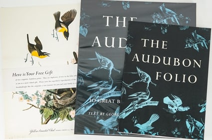 Audubon Folio: 30 Great Bird Paintings Abrams MIB