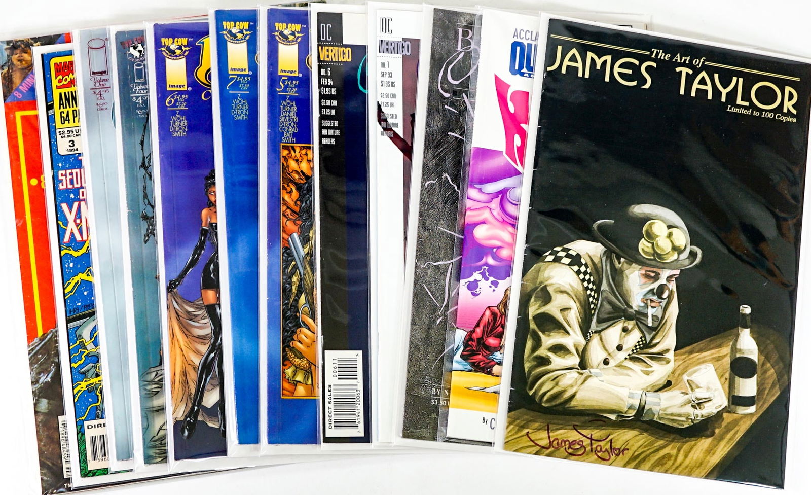 Comic (12) Books [Witchblade; Black Orchid] (1 of 13)