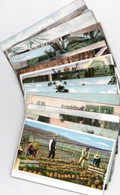 Antique (19) Hawaiian Postcards
