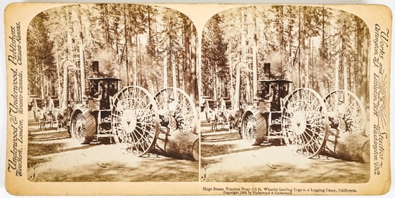 RARE Antique California Logging Stereoview