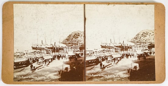 RARE Catalina Island Antique Stereoview