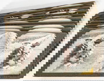 Antique (10) Stereoviews [SLC, Utah]