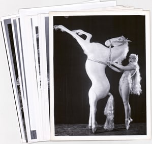 Ad Campaign, Publicity Photos (14) Aqua Follies