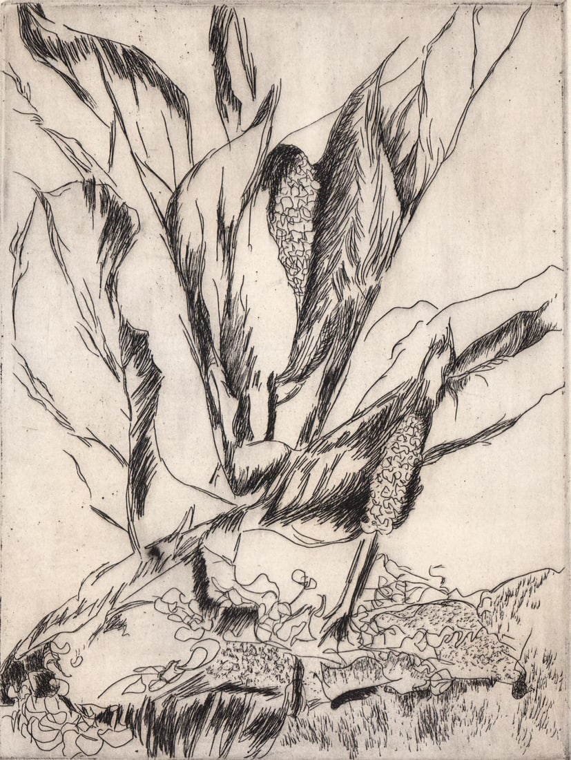 Marie Elise Gray Etching S/N [Field Flower] PNW (1 of 5)