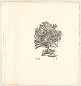Aristide Maillol (8) Original Woodcuts