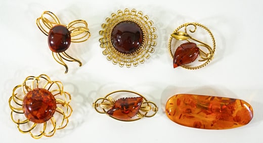 Amber Guild Brooches (5 pcs) & Amber Brooch