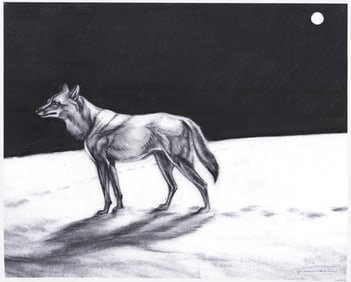 Stephanie J. Frostad Original Charcoal Drawing