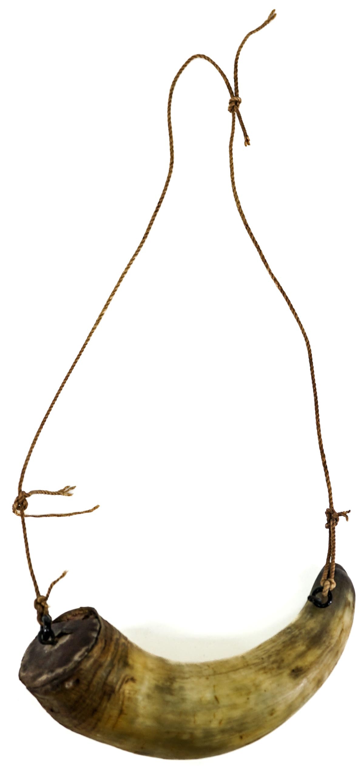 Folk Art Horn 6IN Powder Flask: Folk Art horn powder flask measures 6.25 in. x 2.25 in. Lot measures 6.25 H x 2.25 W x 2.5. D for shipping purposes only. The absence of a condition report does not imply that the lot is in perfect co