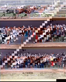 Alysheba 16 x 20 Winners Circle Photo