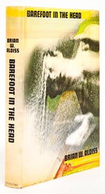 Barefoot in the Head by Aldiss 1970 1st Doubleday