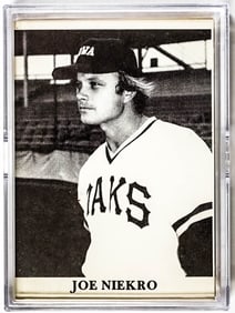 1975 TCMA Card Iowa Oaks (21) Cards-Complete Set