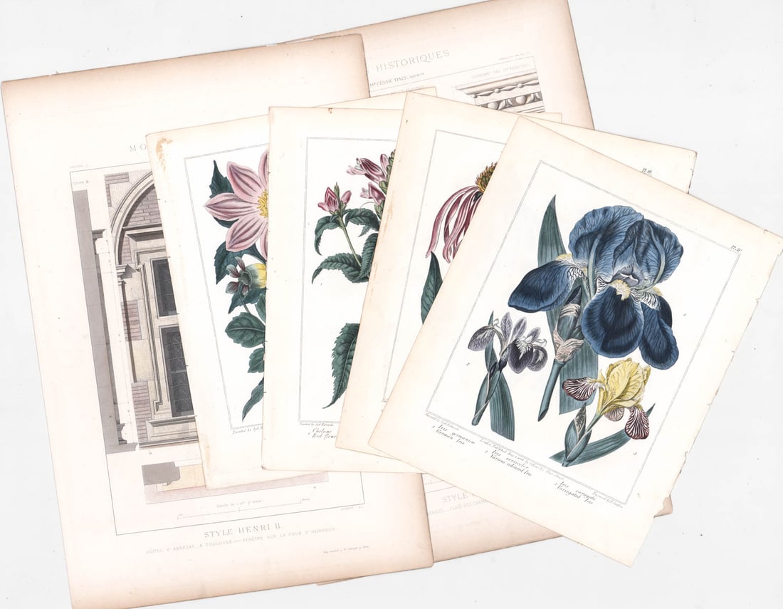 Antique (6) Prints [Botanical, Architecture] (1 of 7)