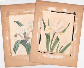 Shirell Graves (2) Original Watercolors [Floral]