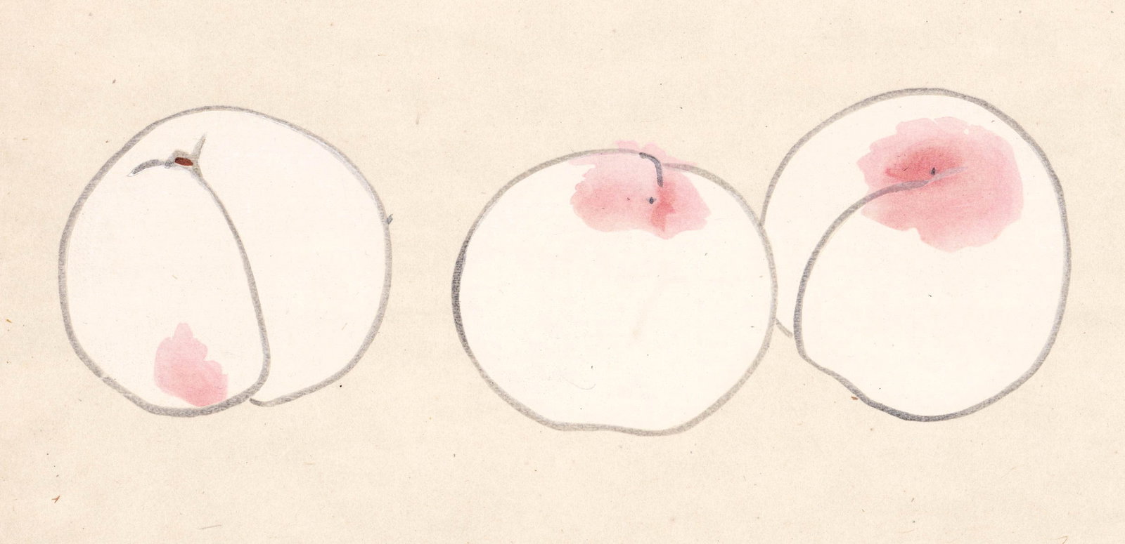 Heihachiro Fukuda SIGNED Color Woodblock Peaches (1 of 6)