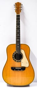 Acoustic Guitar