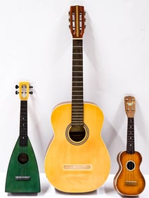 (3) Stringed Instruments