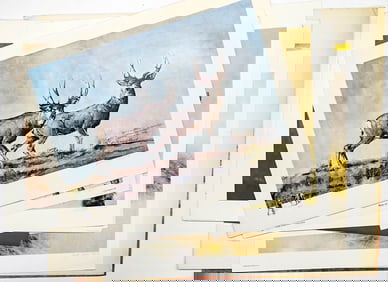 Montana, Western American S/N Prints