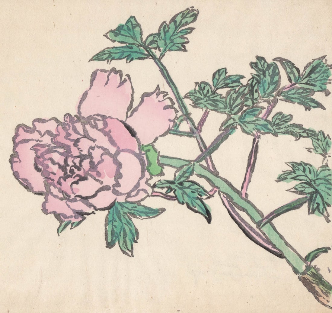 Saneatsu Mushanokoji (Japanese, 1885-1976): Saneatsu Mushanokoji (Japanese, 1885-1976) Color Woodblock [Peony, Mikumo, 1959]. Measures 12 x 14.375 inches (304 mm x 366 mm). Very good condition, some tape residue at top corner and top center. Un
