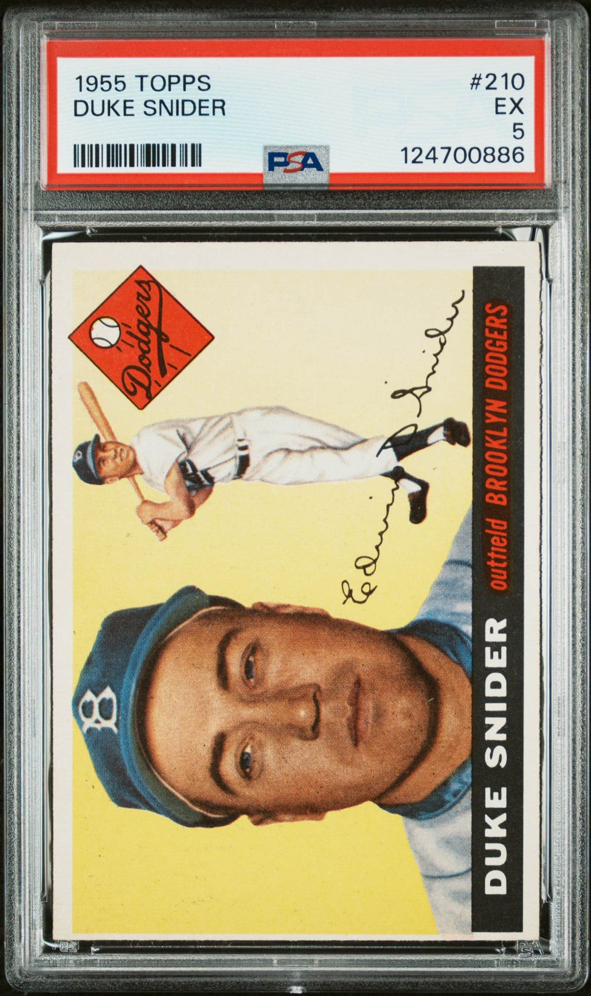 Duke Snider 1955 Topps #210 PSA 5 (1 of 2)